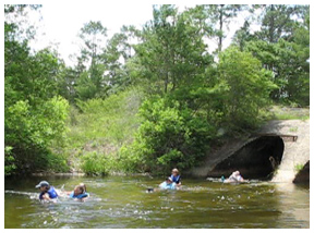 Turkey Creek Bridge - Bridges and Tunnels