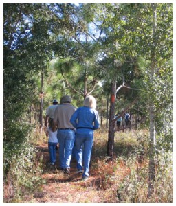 Hikers take to the new trail on Oct. 25. Lori Ceier/Walton Outdoors