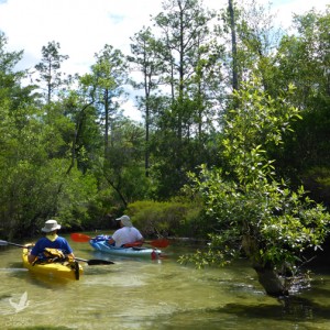 Twists and turns keep you paddling on Turkey Creek - Walton Outdoors