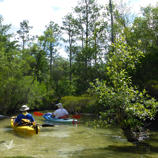  Swift and clear, Turkey Creek brings lots of paddling action. Lori Ceier/WaltonOutdoors.com
