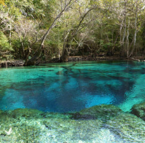 Explore Cypress Spring on Holmes Creek - Walton Outdoors