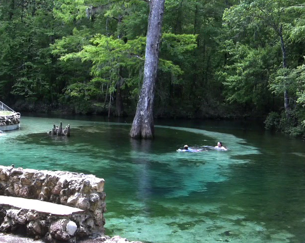 Cool off in the spring at Ponce De Leon Springs State Park. Lori Ceier/Walton Outdoors