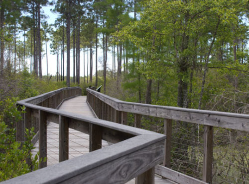 A variety of nature trails await the explorer at Conservation Park in ...