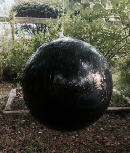 A black beach ball coated with Tangle-Trap. The yellow flies are attracted to the heat and motion.