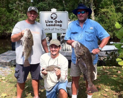 Mark McDuffie (center) and his charter had a great day fishing in the Choctawhatchee Bay. Lori Ceier/Walton Outdoors