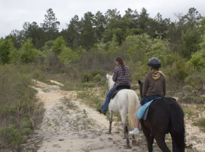 Head out on horseback with Sunshine Riding Trails to the Econfina ...