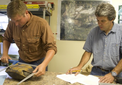 FWC biologist Dan Greene (L) takes measurements of one of the new gopher tortoises and Nokuse director Matt Aresco documents. Lori Ceier/Walton Outdoors