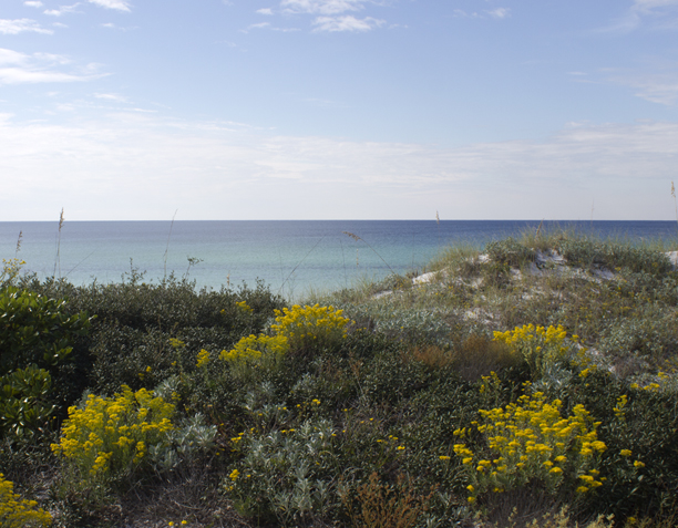 A view of the Gulf of Mexico at Deer Lake State Park. Lori Ceier/Walton Outdoors