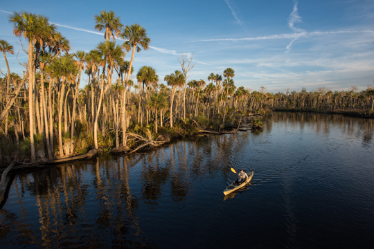 Joe Guthrie paddles a kayak down one of the many creeks of the Chassahowitzka National Wildlife Refuge, a key protected area along the Nature Coast of Florida. Photo by Carlton Ward Photography/Carlton Ward, Jr.