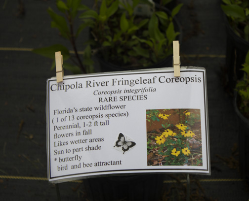 Instructions and information on what is attracted to plants is on hand. Lori Ceier/Walton Outdoors