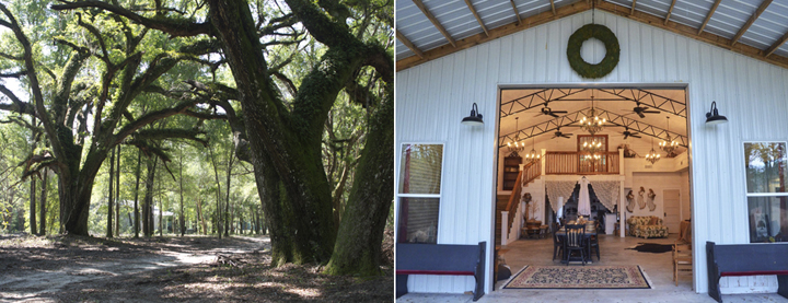 Green pasture, oak trees, and seating for up to 90 people indoors at Live Oak Plantation. Photo courtesy Live Oak Plantation