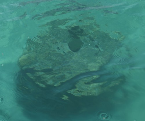 South Walton has new artificial reef off of Grayton Beach State Park ...