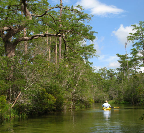 Explore The Beautiful Paddling Trails Of Eglin Air Force Base 