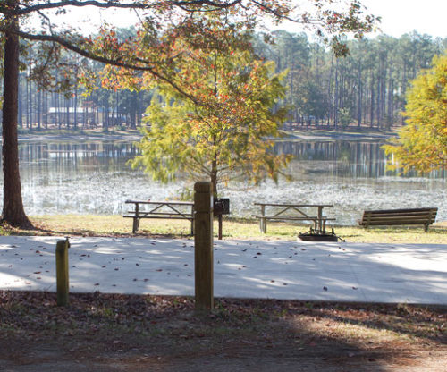 Bike, hike, camp and horseback ride at Pine Log State Forest - Walton ...