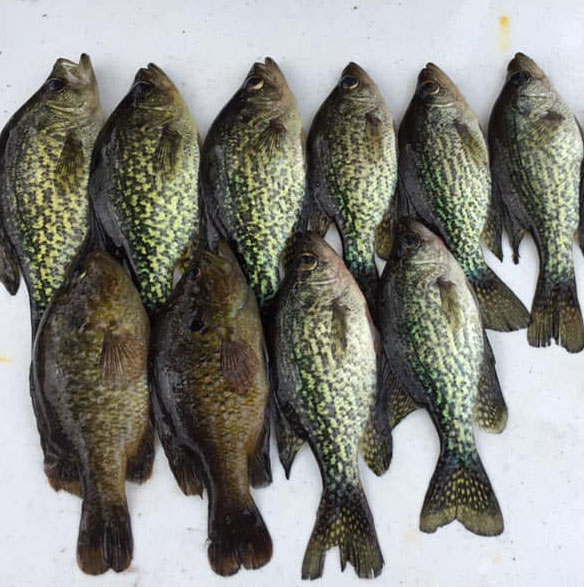 Walton County fishing report for March 5 - Walton Outdoors