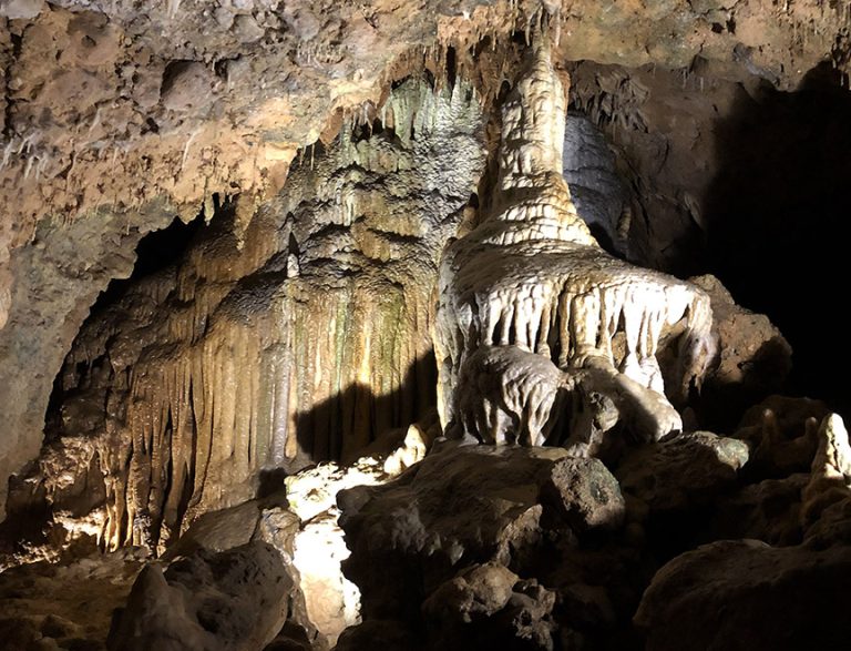 Florida's Hidden Gem:  A Journey Through Florida Caverns State Park