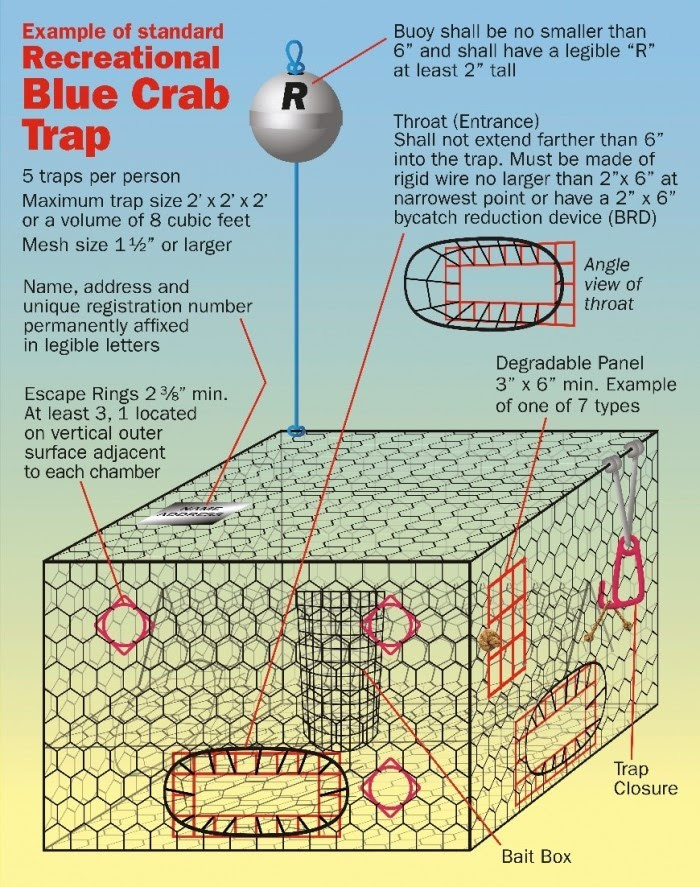 Keep crabs in and terrapins out, FWC rule for recreational crab traps goes  into effect March 1 - Walton Outdoors